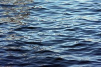 /album/werkenvrijetijd/fijn-water-golven-540-jpg/